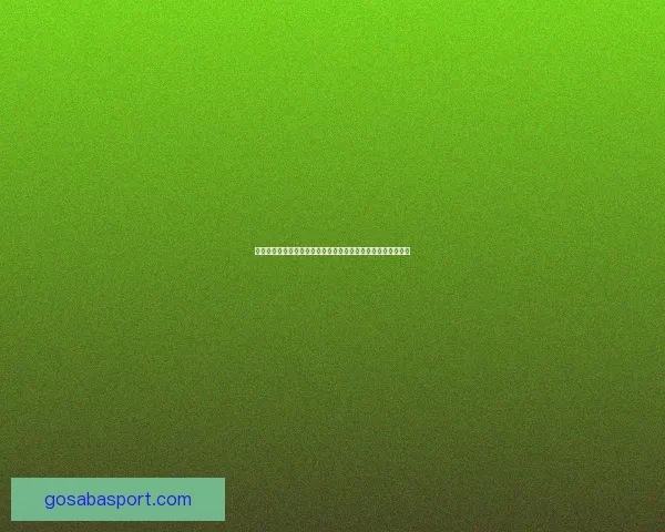 沙巴体育平台助力世界杯投注激情全面解析及热门投注策略推荐